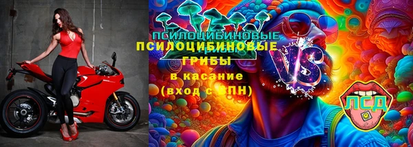 дурь Аркадак