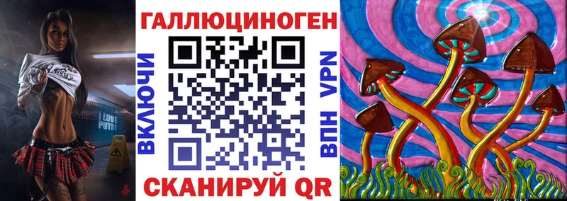 купить наркотики цена  Оленегорск  Псилоцибиновые грибы прущие грибы 